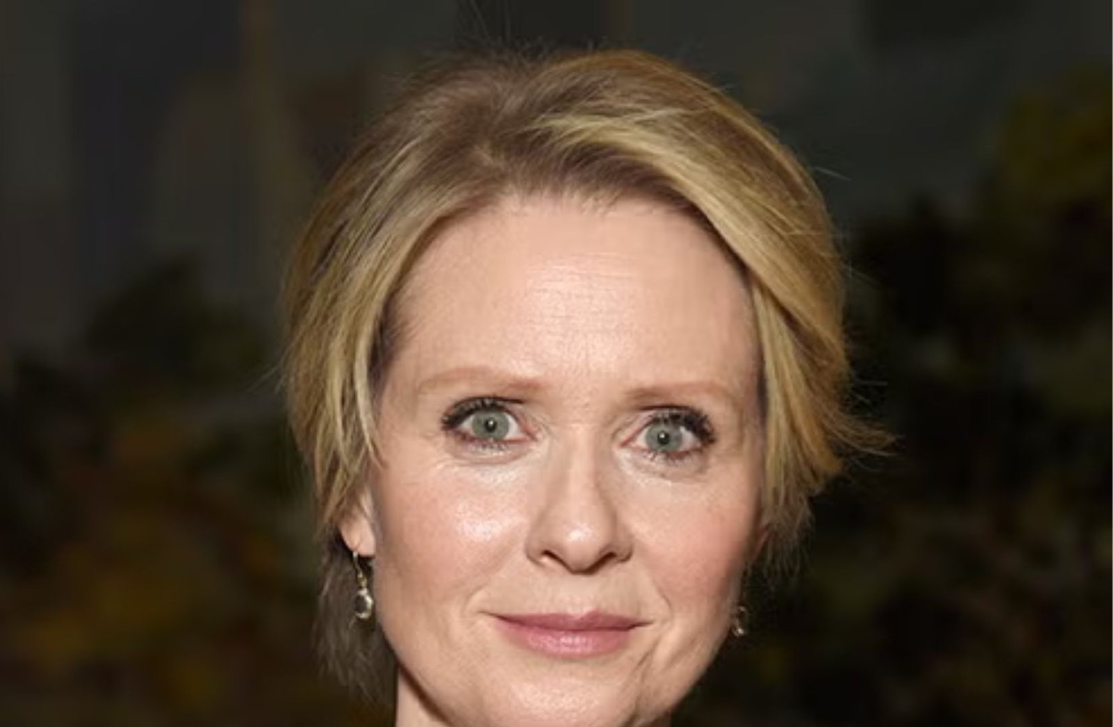 Who Is Cynthia Nixon?